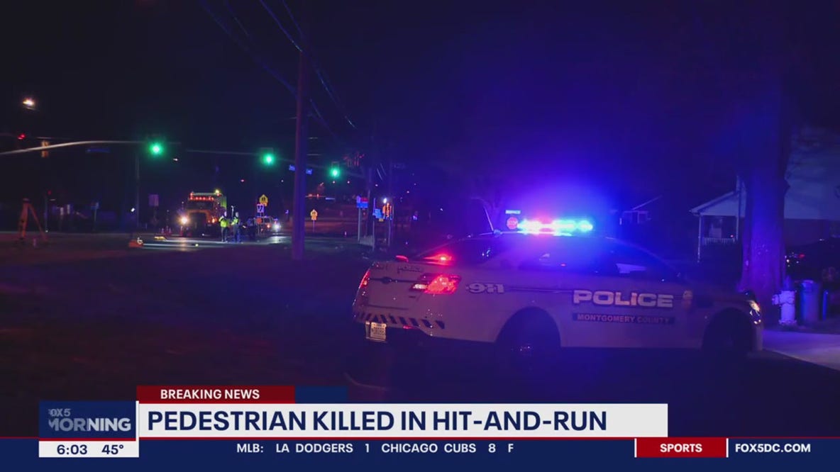 Driver flees after fatal hit-and-run in Wheaton: police